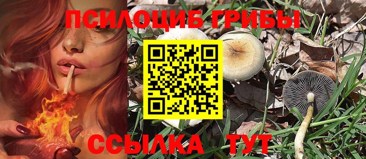 Кострома  Галлюциногенные грибы Cubensis  Вход с VPN 